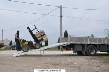 transport 2.jpg