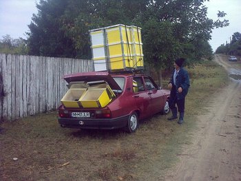 dacia.jpg