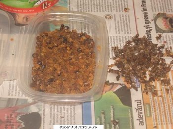 ok_123107.jpg