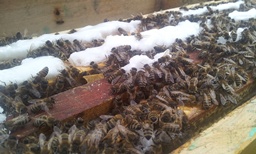 20130409_145457.jpg