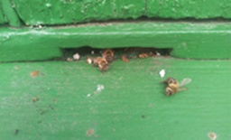 20130409_145248.jpg