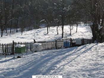 ok_149805.jpg