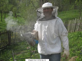 ok_164574.jpg