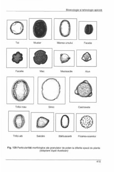 Pages from Bioecologie_si_tehnologie_apicola_-_Stefan_Lazar_-_2002_-_464_pag.jpg