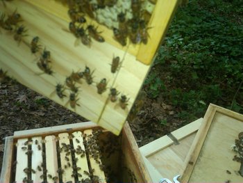 ==IMG-20110423-00043_001.jpg