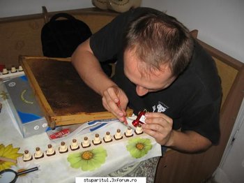 ok_164585.jpg