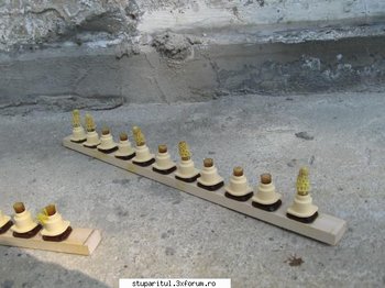 ok_164904.jpg