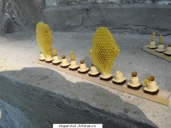 ok_164905.jpg