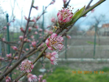 rsz_picture_031.jpg