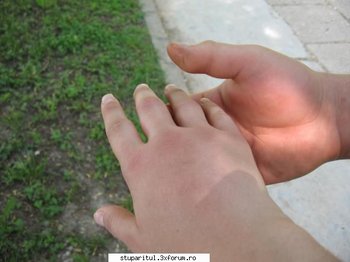 ok_164908.jpg