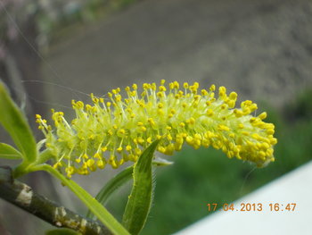 rsz_picture_009.jpg