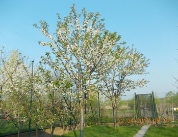 rsz_2picture_030.jpg