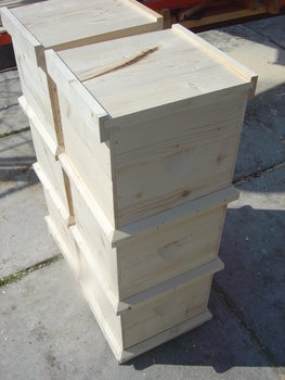 rsz_dsc03717.jpg