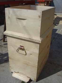 rsz_dsc03726.jpg