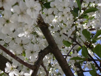 DSCF1170.JPG