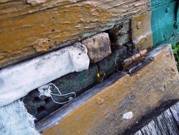 DSCF1269.JPG