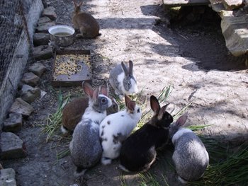 DSCF1157.JPG