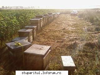 ok_122829.jpg
