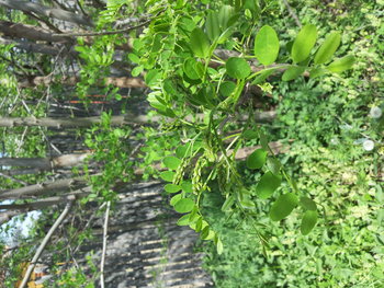 rsz_20130430_151045.jpg