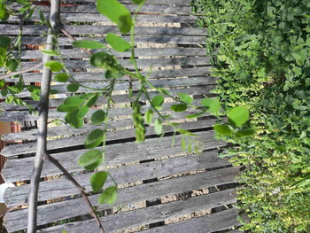 rsz_20130430_151056.jpg