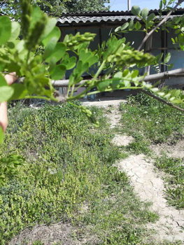 rsz_20130430_151109.jpg