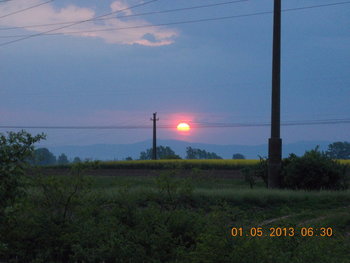 rsz_1picture_022.jpg