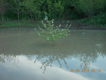 rsz_picture_016.jpg