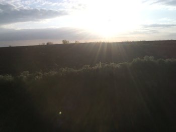 IMG00095.jpg
