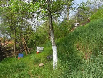 DSCN1781.jpg