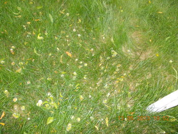 rsz_1picture_018.jpg
