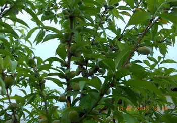rsz_5picture_007.jpg