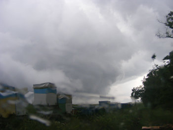 s2.jpg