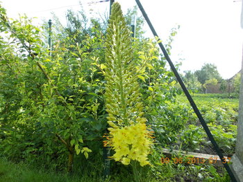 rsz_1picture_031.jpg