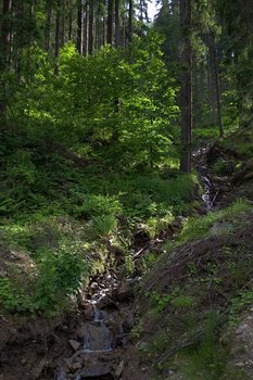 DSC_0509.jpg