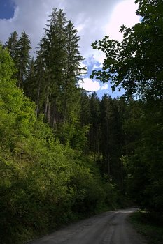 DSC_0531.jpg