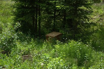 DSC_0634.jpg