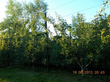 rsz_1picture_025.jpg