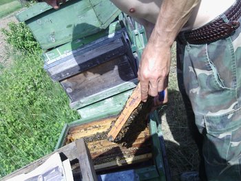IMG_20130519_092019.jpg