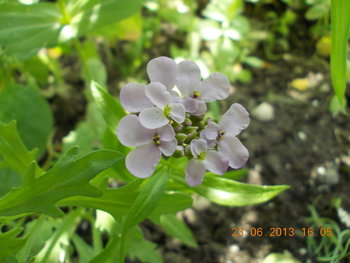 rsz_2picture_014.jpg