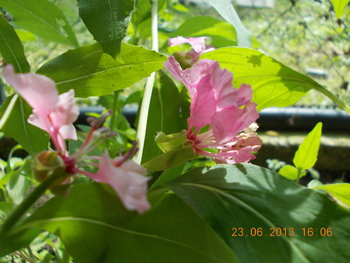 rsz_picture_017.jpg