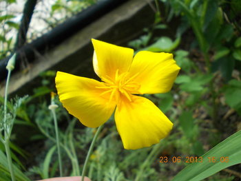 rsz_picture_018.jpg