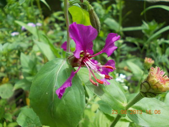rsz_picture_019.jpg