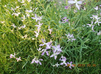 rsz_2picture_003.jpg