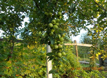 rsz_3picture_008.jpg