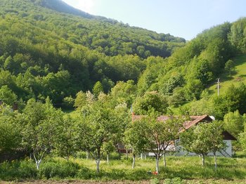 DSCN2352.jpg