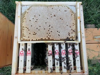 20130622_195428 (Copy).jpg
