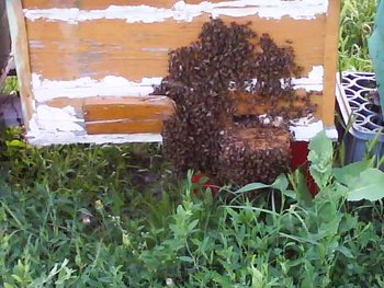 Photo 0274 3.jpg