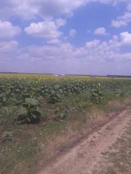2013-07-03 13.50.54.jpg