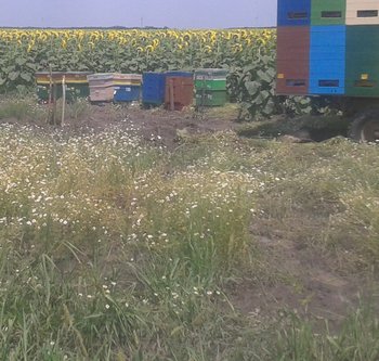 2013-07-03 13.59.17.jpg