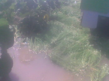 Mar-Apr 2013022.jpg
